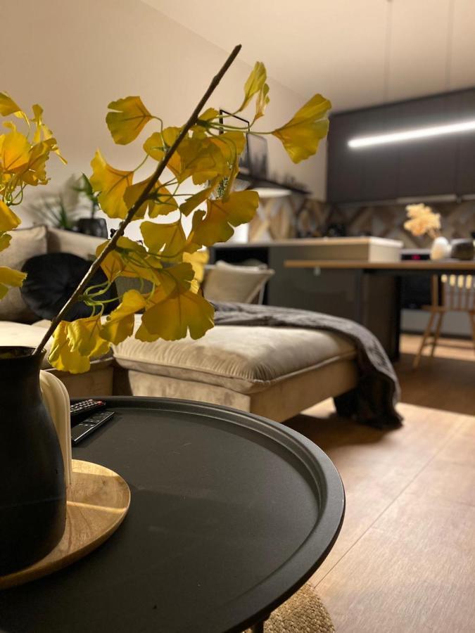 Apartamento Boosko Me 2 Busko-Zdrój Exterior foto