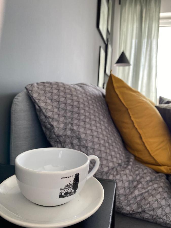 Apartamento Boosko Me 2 Busko-Zdrój Exterior foto